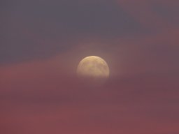 Anderes &raquo; Mond