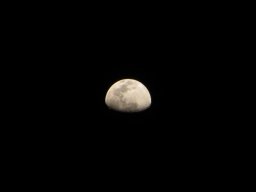 img_1821