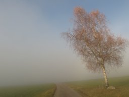 Anderes &raquo; Nebelgrenze