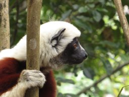 Madagaskar 2015