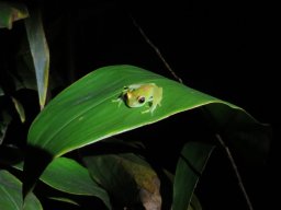 Madagaskar 2015