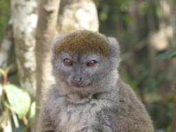 Madagaskar 2015