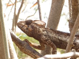 Madagaskar 2015