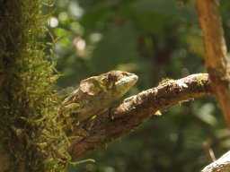 Madagaskar 2015