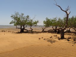 Madagaskar 2015