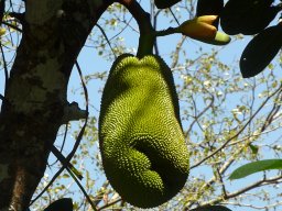 Madagaskar 2015